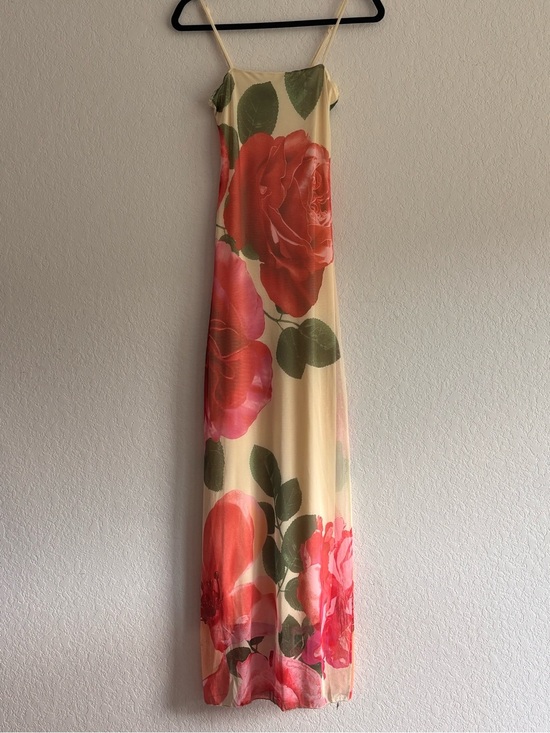 Sincerly Jules Dresses & Skirts - Sincerely Jules NWT Rose Floral Mesh Maxi Dress Cream Pink Size S